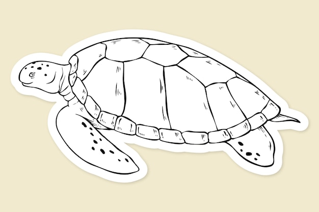 Vector turtle vintage black and white clipart