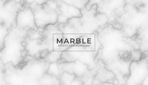 Free Vector vector white marble stone