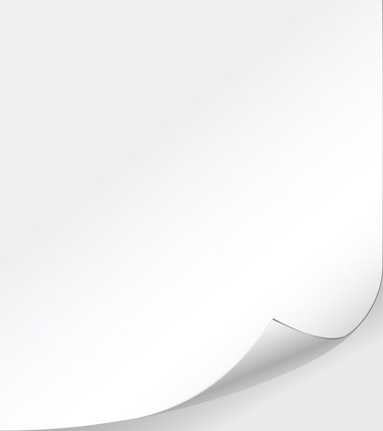 vector white paper background with curled corner