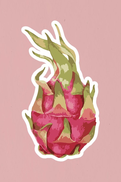 Free vector vectorized dragon fruit sticker with a white border