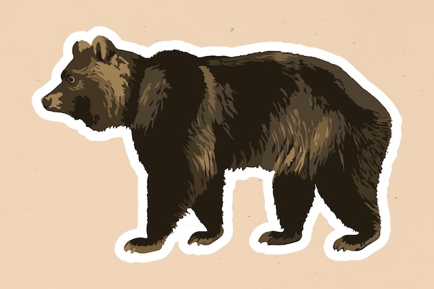 Free vector vectorized grizzly bear sticker overlay with a white border on a beige background