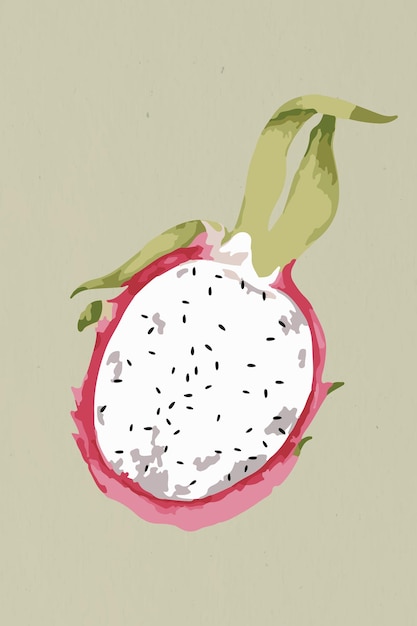 Free Vector vectorized half of a dragonfruit design element