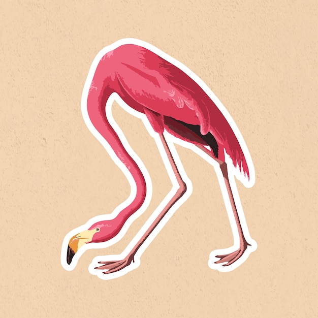 Free Vector vectorized pink flamingo bird sticker with white border