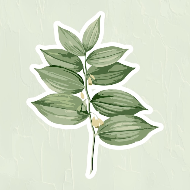 Vectorized polygonatum flower sticker overlay with a white border design element