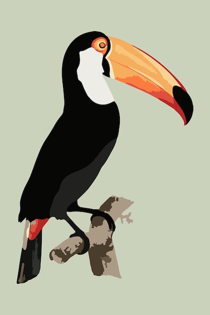 Free Vector vectorized toucan bird sticker overlay design element