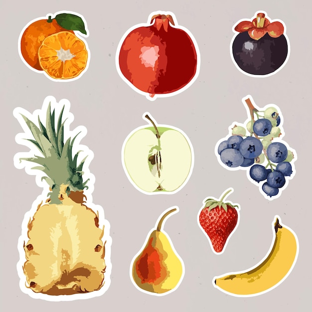 Free vector vectorized tropical fruit sticker collection design elements