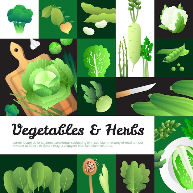 Free Vector vegetarian food banners poster with organic fresh  cabbage and green vegetables