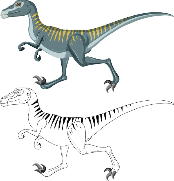 Velociraptor dinosaur with its doodle outline on white backgroun