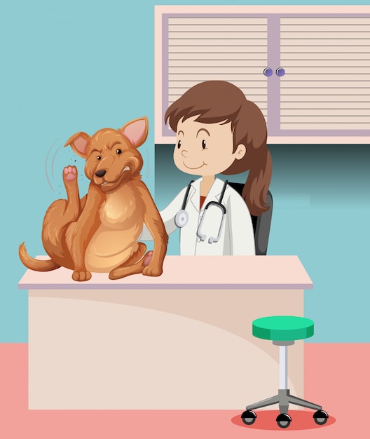 Free Vector veterinarian with sick animal