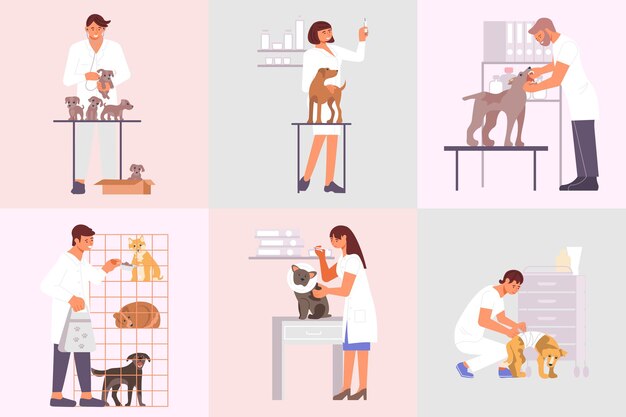 Veterinary clinic compositions set of flat animals and characters of medical specialists taking care of pets illustration