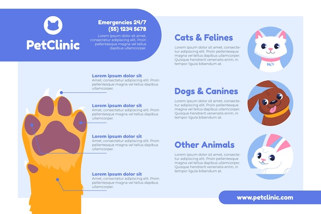 Veterinary clinic infographic template