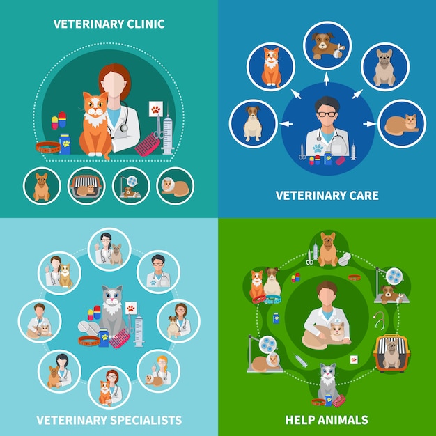 Free Vector veterinary flat icons concept