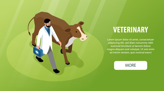 Veterinary horizontal isometric web banner