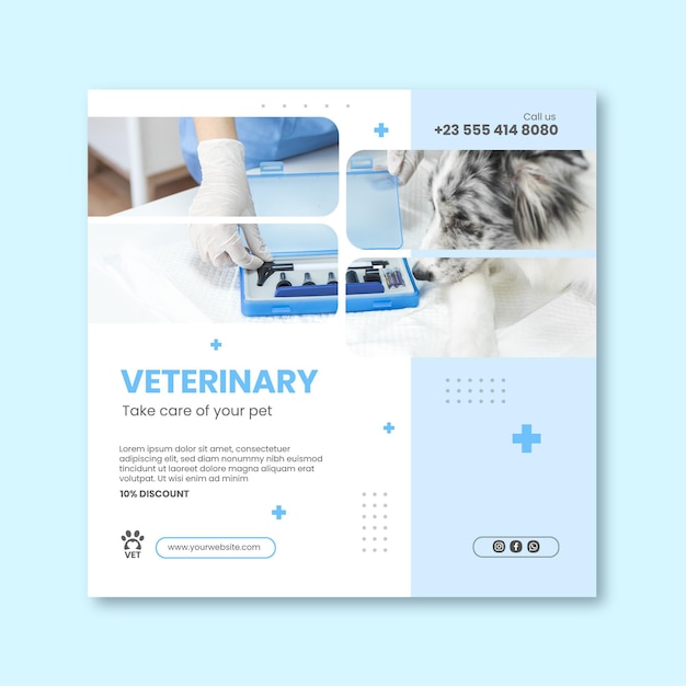 Veterinary squared flyer template