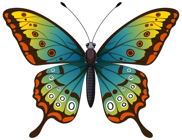 Free vector vibrant butterfly vector illustration