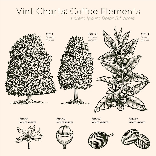 Vint charts coffee elements tree hand drawn