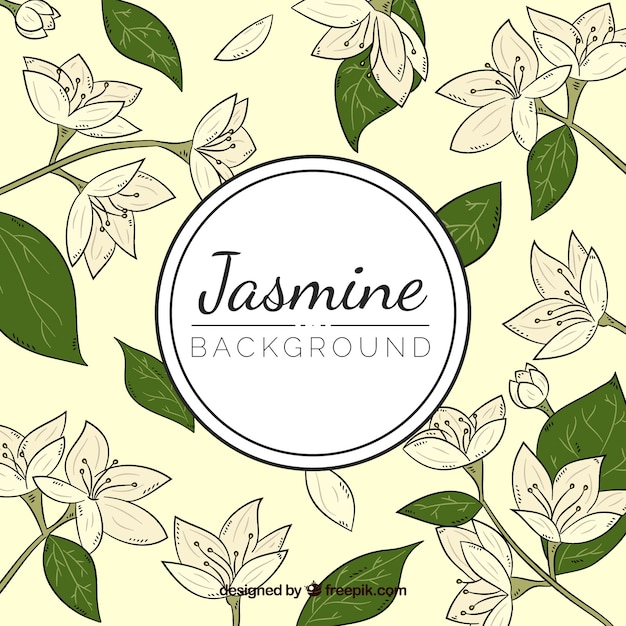 Vintage background of hand drawn jasmines