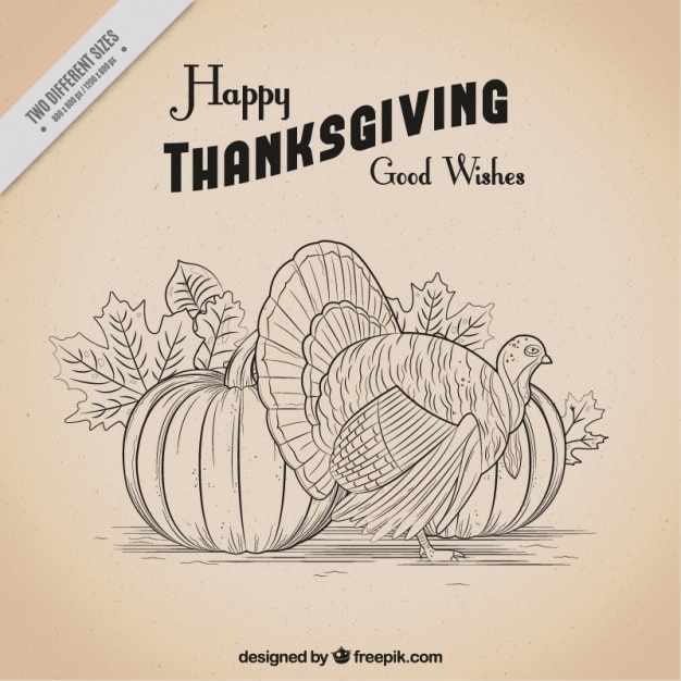 Free Vector vintage background of pumpkins and hand drawn turkey