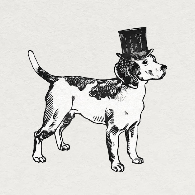 Free vector vintage beagle dog  sticker with top hat