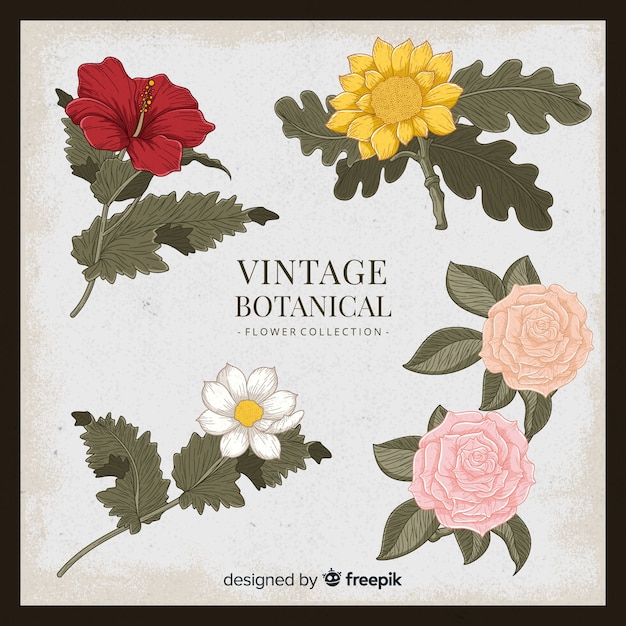 Free Vector vintage botanical flower collection