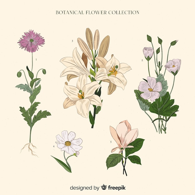 Free vector vintage botanical flower collection