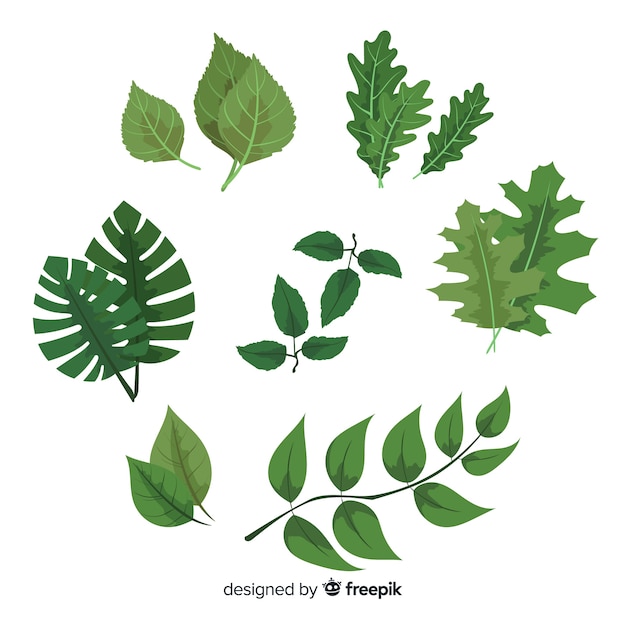 Free Vector vintage botanical leaf collection