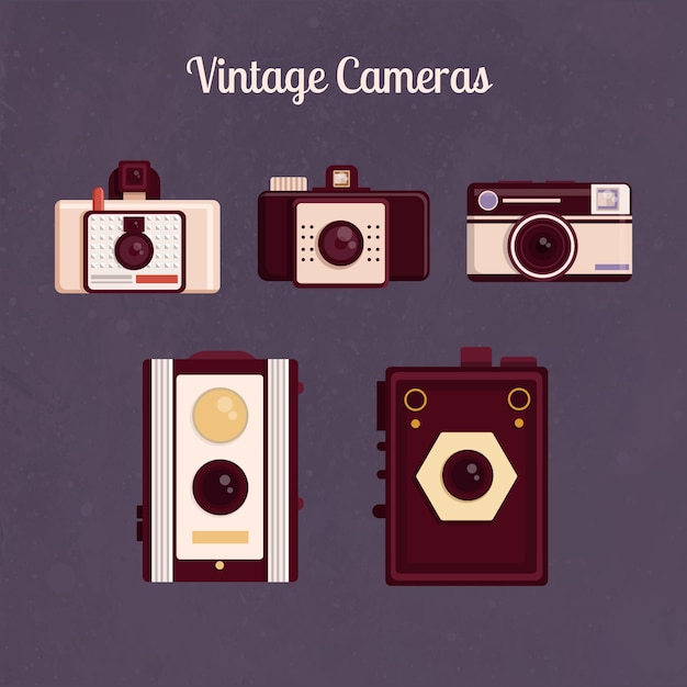 Vintage cameras