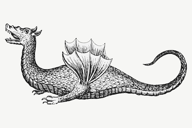 Free vector vintage dragon illustration vector, remixed from artwork by athanasius kircher.