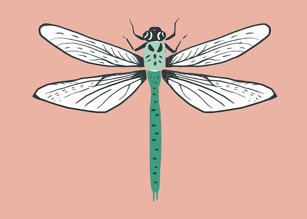 Free Vector vintage dragonfly insect stencil pattern