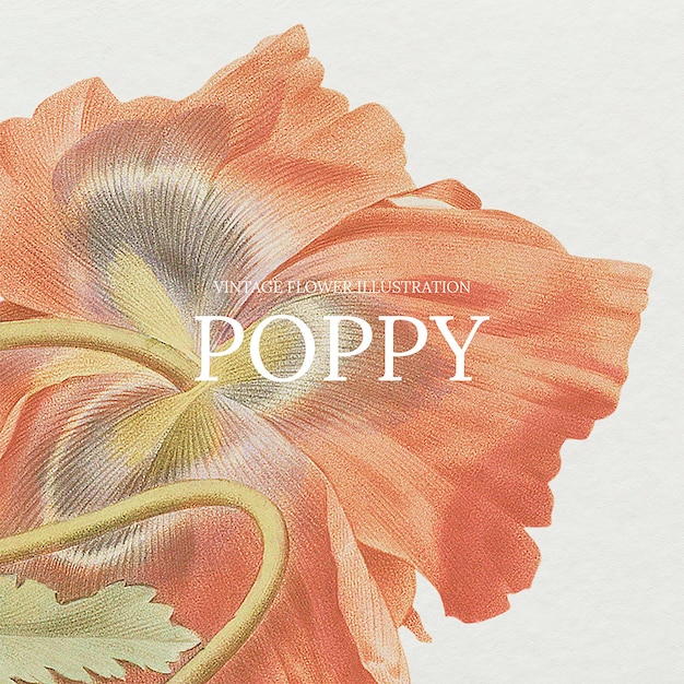 Free vector vintage floral template illustration with poppy background, remixed from public domain artworks