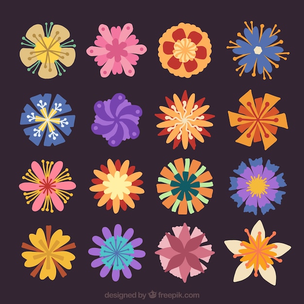 Vintage flower collection