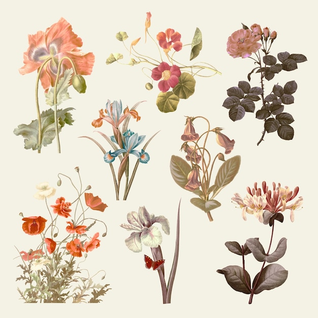 Free vector vintage flower  illustration set, remixed from public domain artworks