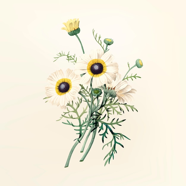 Free vector vintage flower illustration