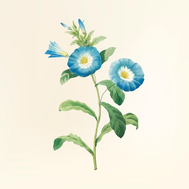 Free Vector vintage flower illustration