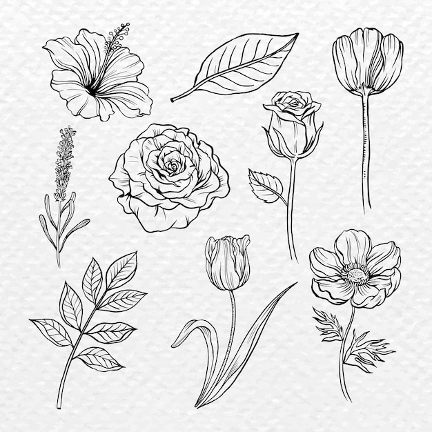 Free vector vintage flower sticker, black botanical illustration vector set