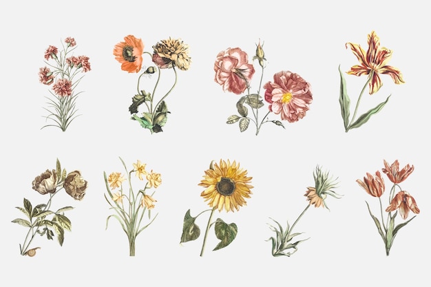 Free Vector vintage flower vector hand drawn illustration set