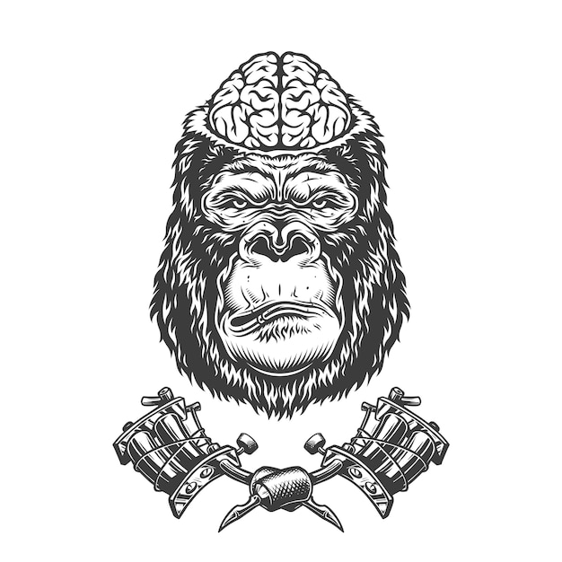 Free Vector vintage gorilla head with human brain