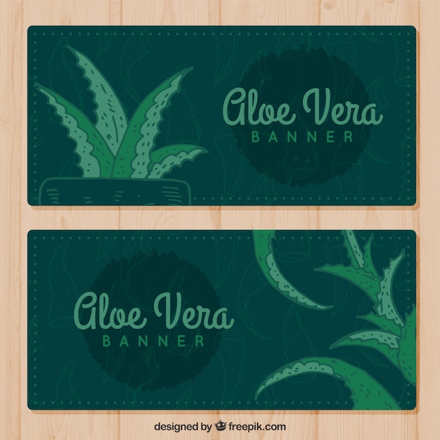 Free Vector vintage hand drawn aloe vera banners