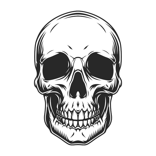 Free Vector vintage human skull concept