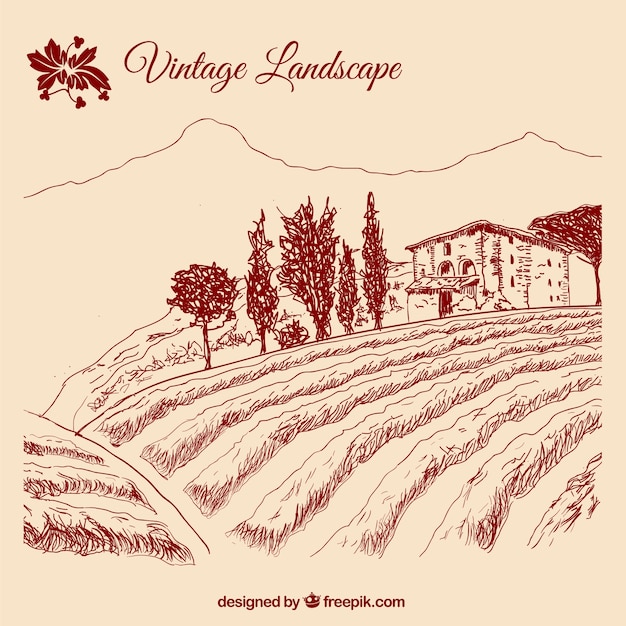 Free Vector vintage landscape