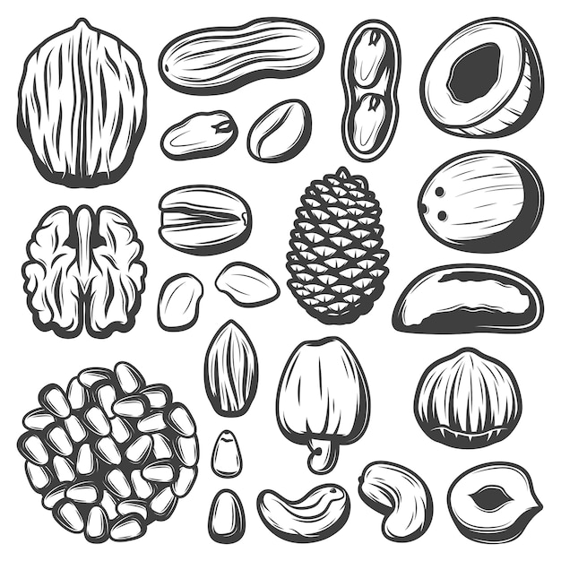 Free Vector vintage organic nuts collection with coconut pistachio cashew pecan almond peanut walnut macadamia brazil pine nuts isolated