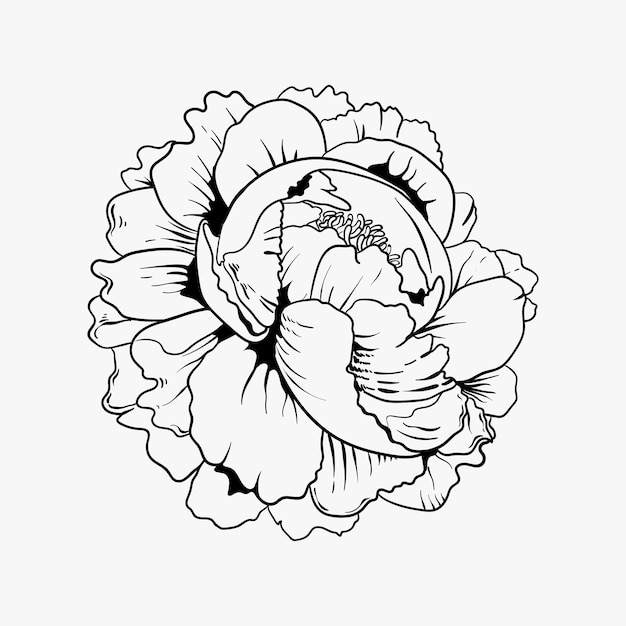 Free Vector vintage rose old school flash tattoo design symbol vector