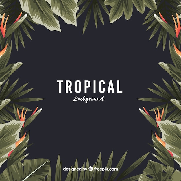 Free Vector vintage tropical background with flat design