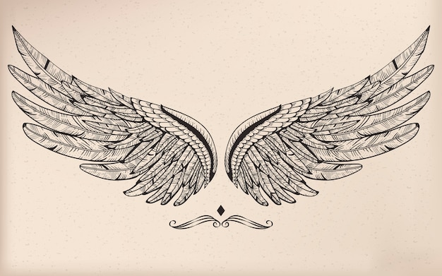 Free vector vintage vector wing