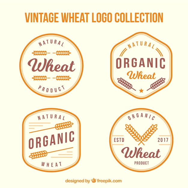 Vintage wheat logo collection