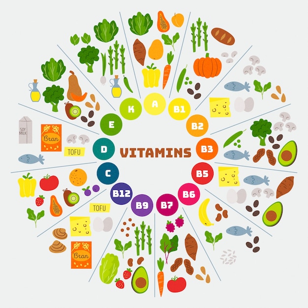 Vitamin food infographic