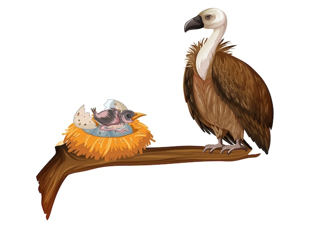 Free vector vulture bird with nest