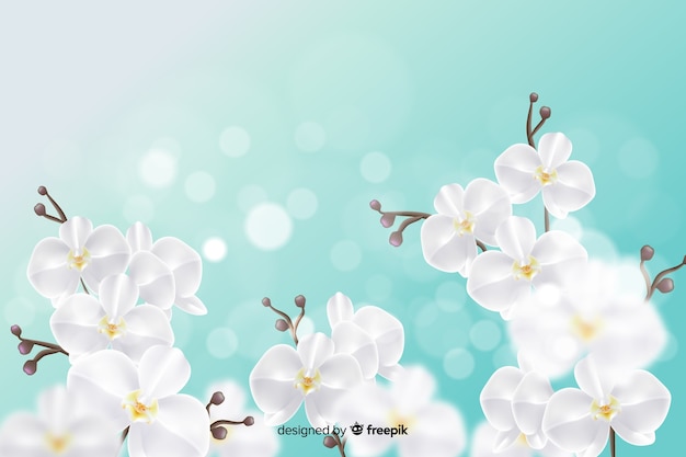 Free Vector wallpaper design with realistic flowers