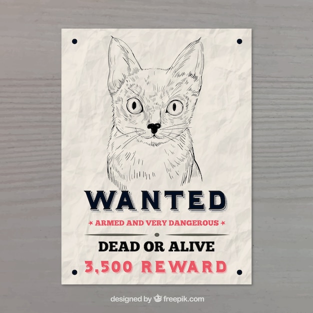 Free Vector wanted poster with cat