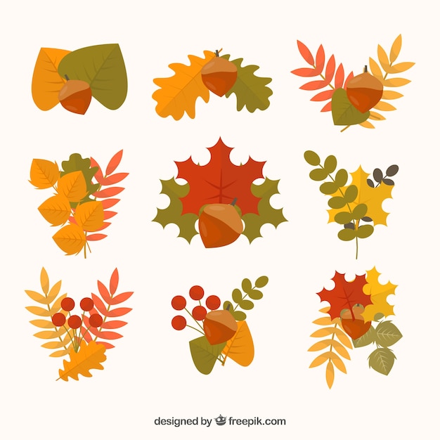 Warm autumn collection of leaves 